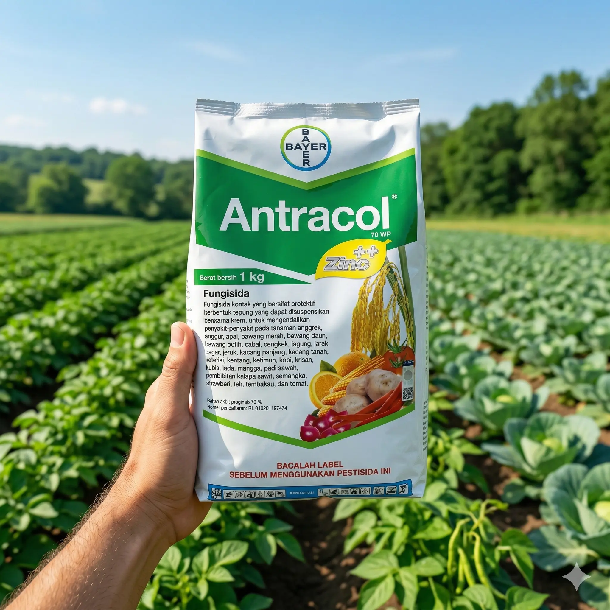 Antracol 70 WP